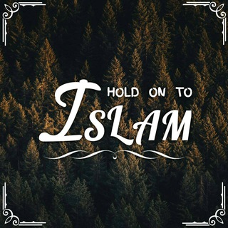 Telegram profile photo for ILM WEB