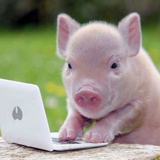 Telegram group profile photo for Нахрюкільна