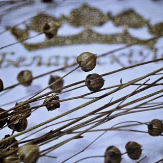 Telegram profile photo for ТД “Оршанский льнокомбинат»