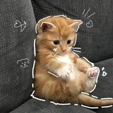 Telegram profile photo for 𝐌𝐔𝐑𝐋𝐀𝐍𝐃𝐈𝐀 𝐈𝐍𝐅𝐎