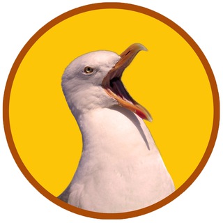 Telegram profile photo for Главное в Сочи