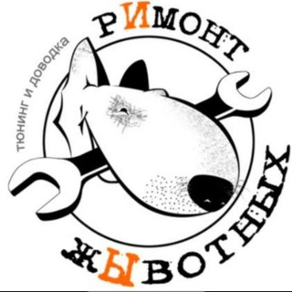 Telegram profile photo for Animalservice Ветеринарная клиника "РИмонт жЫвотных"