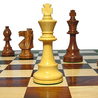Telegram profile photo for lichess