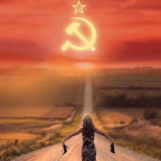 Telegram profile photo for Рыжий котенок