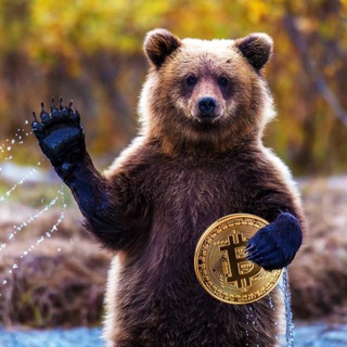 Telegram group profile photo for 🐻 Crypto Russia 🇷🇺 🔘 ЧАТ 💬