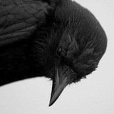 Telegram profile photo for Архив CrAvE
