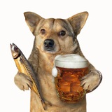 Telegram profile photo for Тележка мемов