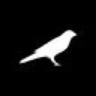 Telegram profile photo for KSM $ Price