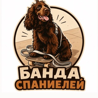 Telegram profile photo for банда спаниелей