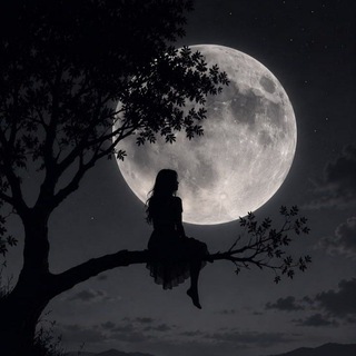 Telegram profile photo for مـ͓̽ـشـ͓̽ـآعـ͓̽ـرٍ💔