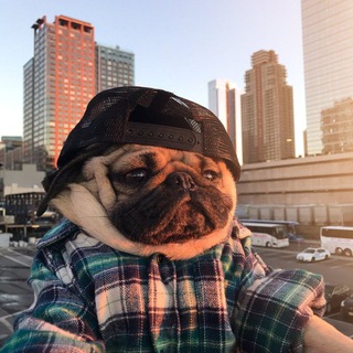 Telegram group profile photo for Чат REDO | Розыгрыши NFT