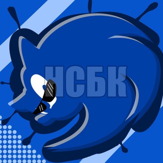 Telegram profile photo for НедоСоникоблогерский Канал (щитпостинг)