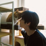 Telegram profile photo for herbal tea