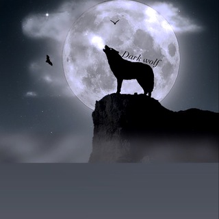 Telegram profile photo for DARK 🌙WOLF☎️ CALL 看漲的