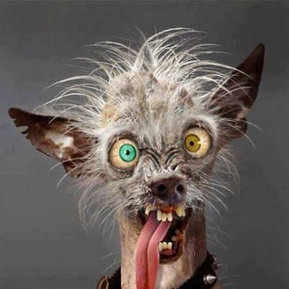 Telegram profile photo for Аренда банков🇺🇦