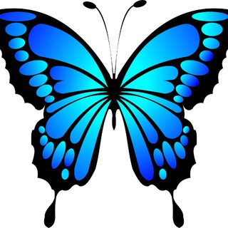 Telegram profile photo for 🦋Наргис Дубайская🦋