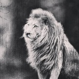 Telegram profile photo for Özüdü