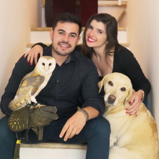 Telegram profile photo for Go Italy - Cidadania Italiana 🇮🇹