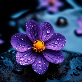 Telegram profile photo for Красивые фоны для сторис💜
