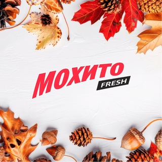 Telegram profile photo for Moxito Uzbekistan