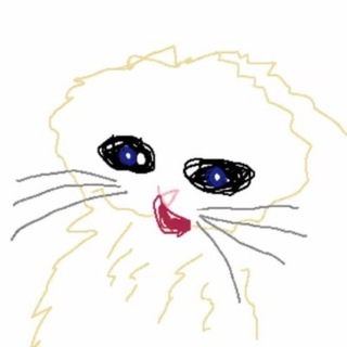 Telegram profile photo for Sad Cat Gamble