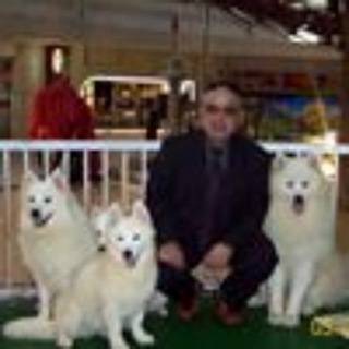 Telegram profile photo for постоянный трансфер Спб /Хельсинки и обратно