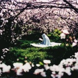 Telegram profile photo for English about Prayer