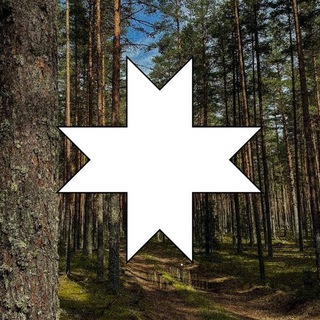 Telegram profile photo for Näen Inkerin lippuja kaikkialla