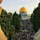 Telegram profile photo for Muhammad Muslim - war spectactor