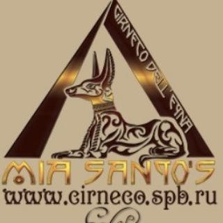 Telegram profile photo for Cirneco #Чирнеко дель Этна❤️