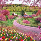 Telegram profile photo for چگونه زندگی را زیبا کنیم
