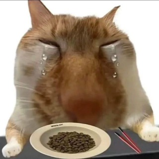 Telegram profile photo for чикенаг чингисхан