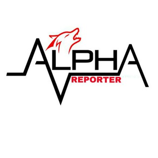 Telegram profile photo for Report to telegram