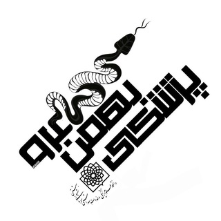 Telegram profile photo for Med Sbmu B94