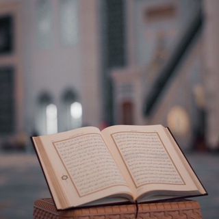 Telegram profile photo for بالآي نرتق🌿