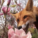 Telegram profile photo for Hello? It's me.