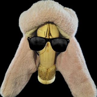 Telegram profile photo for DickWithHat | $DWH