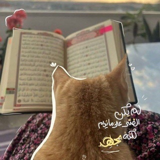 Telegram profile photo for _لـ فتاة تجاهد💗