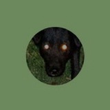 Telegram profile photo for Разыскания одной собаки