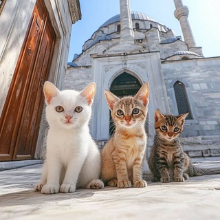 Telegram profile photo for Мировой кринж
