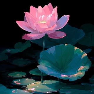 Telegram profile photo for نیلوفرانه | نیلوفر دادور