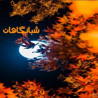Telegram profile photo for شبانگاهان