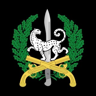 Telegram profile photo for Barysty Qolǵa Úıretý