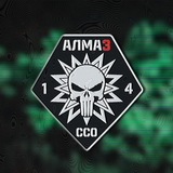 Telegram profile photo for 14-й полк «AlmaZ»