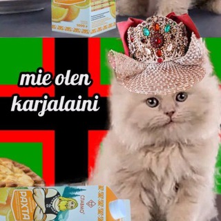 Telegram profile photo for Meemit karjalakse