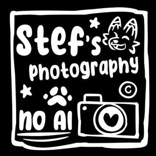 Telegram profile photo for Stef's Photo/video Archive