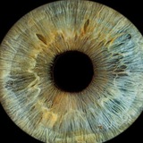 Telegram profile photo for 4n9.vision