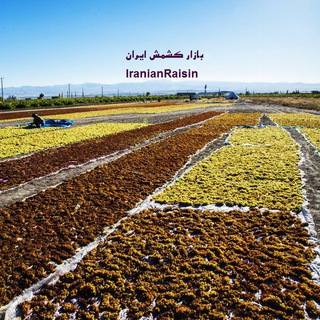 Telegram profile photo for بازار کشمش ایرانی