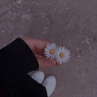 Telegram profile photo for رُكن هادئ 🍃