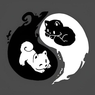 Telegram profile photo for —͟͞͞ 𝗡𝗢𝗧 𝗧𝗘𝗫𝗧𝗘𝗥